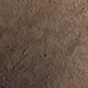 Meet your Posher, Steve